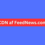Maximizing Content Delivery with CDN af FeedNews.com CDN af FeedNews.com