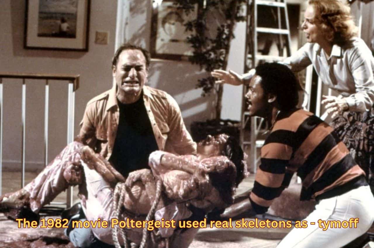 The 1982 movie Poltergeist used real skeletons as - tymoff