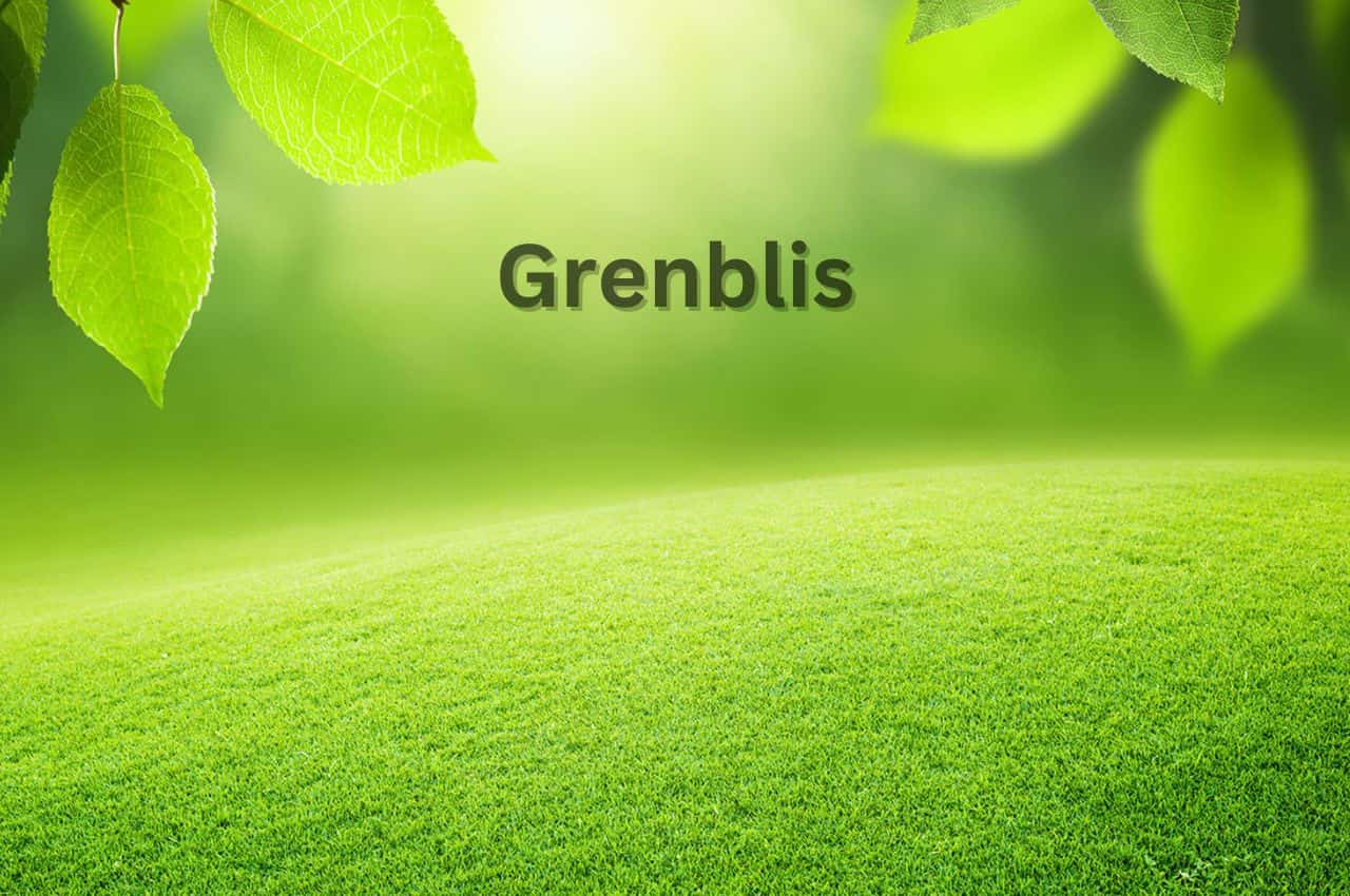 Grenblis