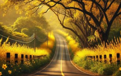 Yellow Spring Road