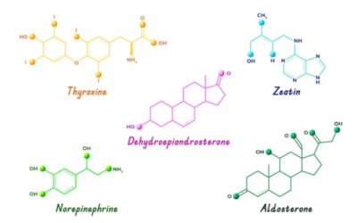 monosaccharide Simple Definition