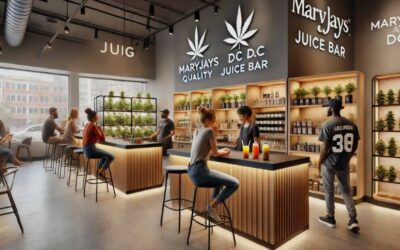 Exploring MaryJays DC Weed Dispensary Juice Bar Washington Reviews – Is It Worth the Hype? MaryJays DC Weed Dispensary Juice Bar Washington Reviews