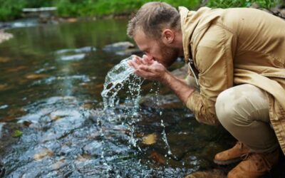 Therapeutic Swamp Water