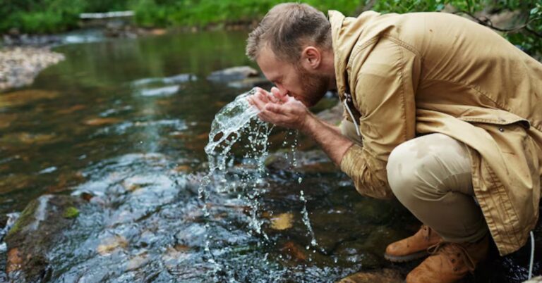 Therapeutic Swamp Water